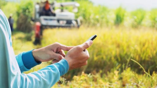 mano-agricultor-telefono-movil-agricultura_34152-2013